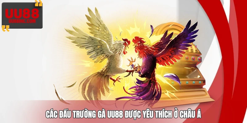Các đấu trường gà UU88 được yêu thích ở châu Á
