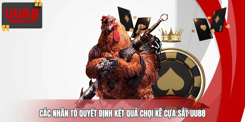 Các nhân tố quyết định kết quả chọi kê cựa sắt UU88