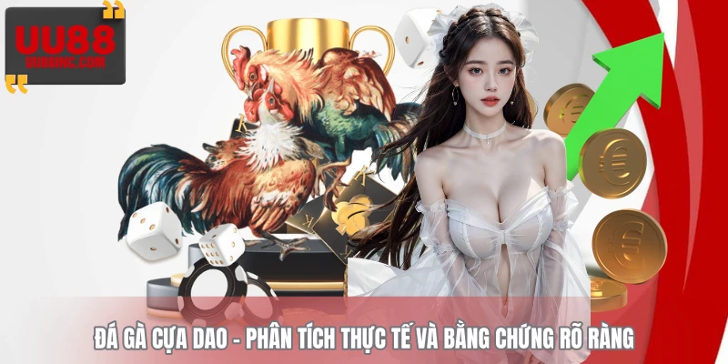 Đá Gà Cựa Dao - Phân Tích Thực Tế Và Bằng Chứng Rõ Ràng