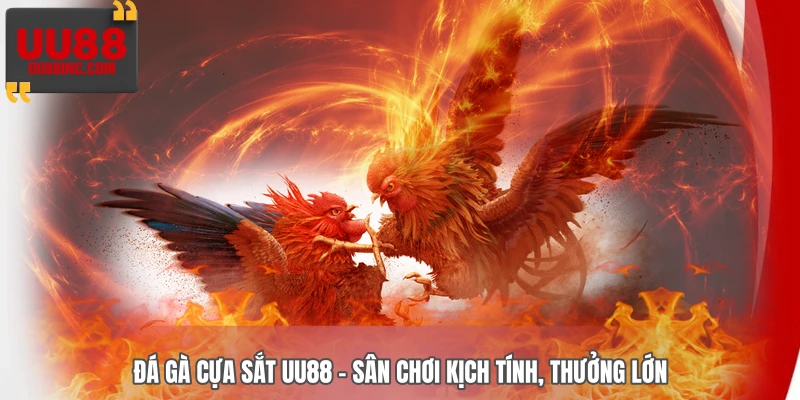 Đá Gà Cựa Sắt UU88 – Sân Chơi Kịch Tính, Thưởng Lớn