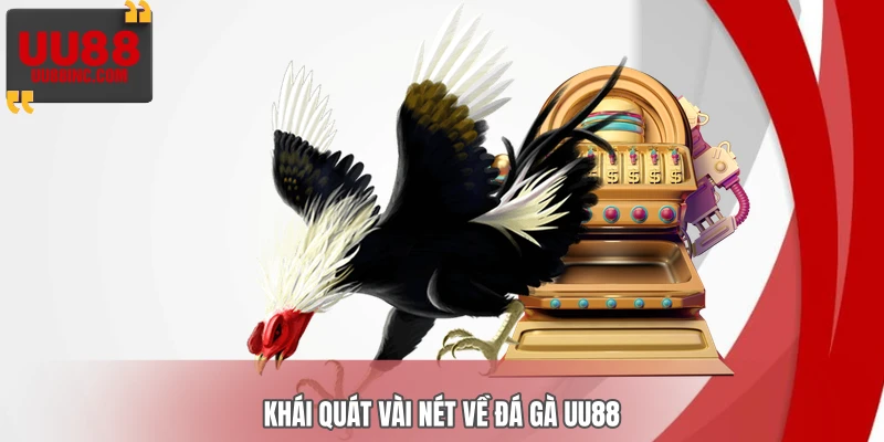 Khái quát vài nét về đá gà UU88