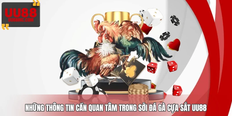 Những thông tin cần quan tâm trong sới đá gà cựa sắt UU88